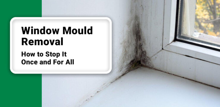 Window Mould Removal 1